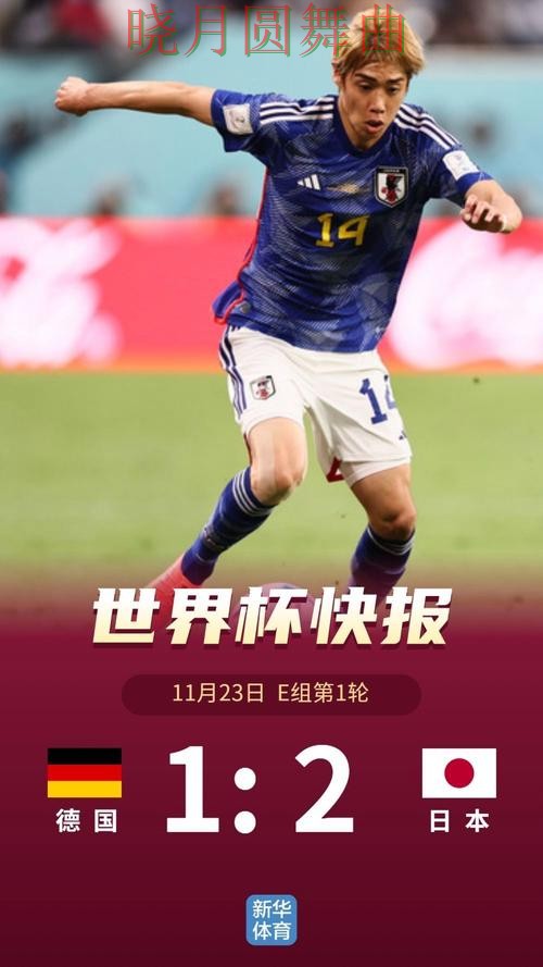 世界杯投注app为什么越来越多人关注经验分享